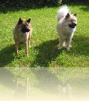 Aimy und Benjamin in den Flitterwochen auf der daenischen Insel Roemoe